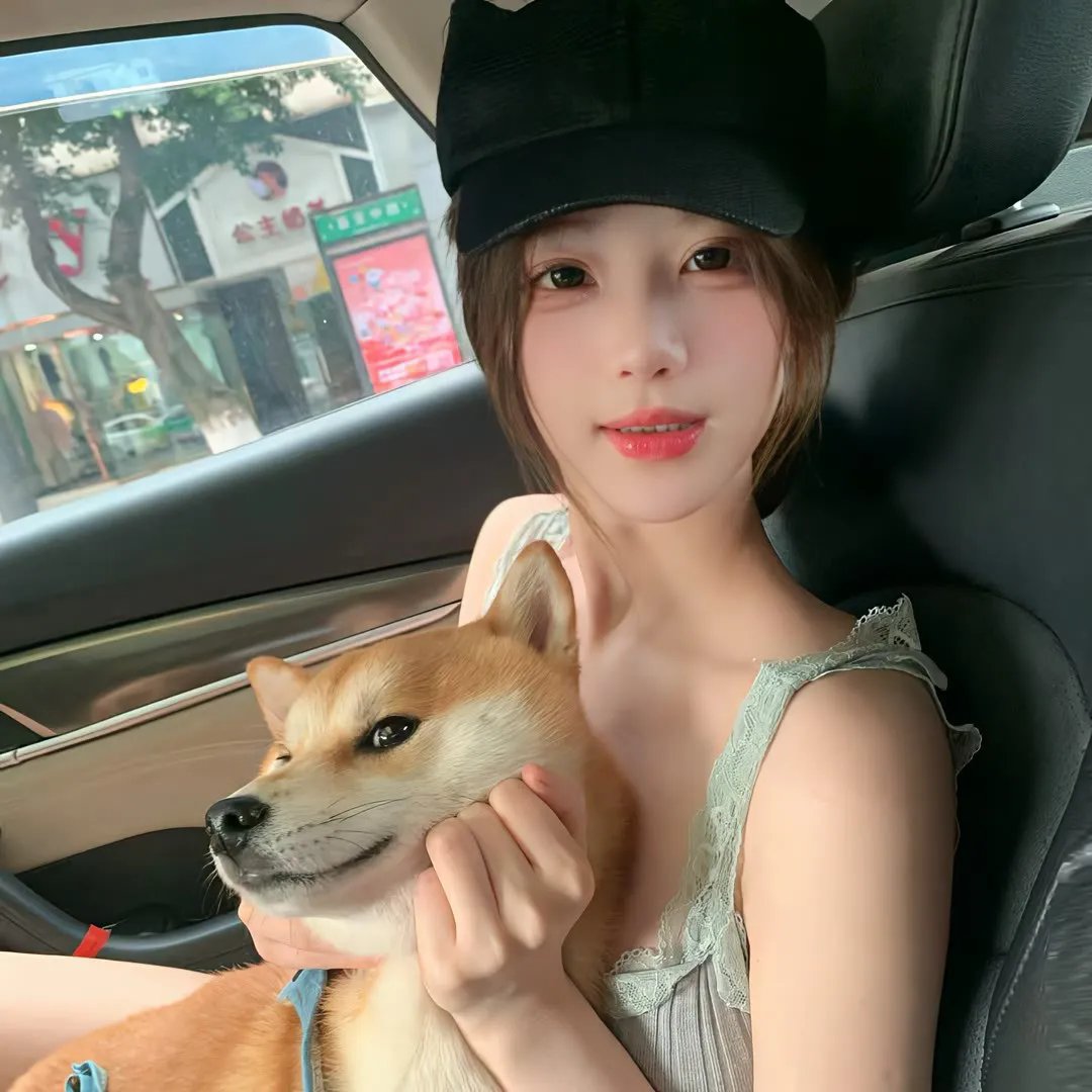 蔷薇处处开