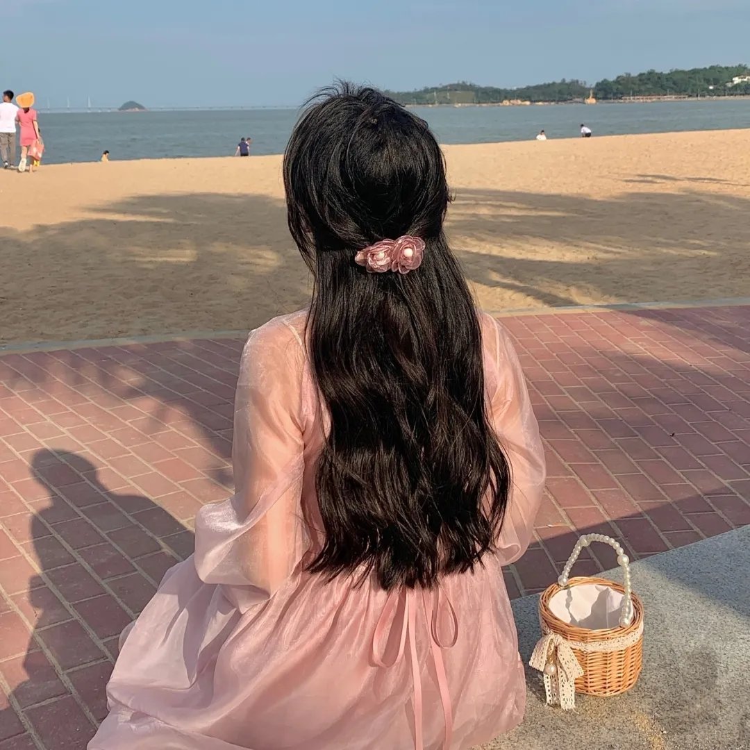 监察局长